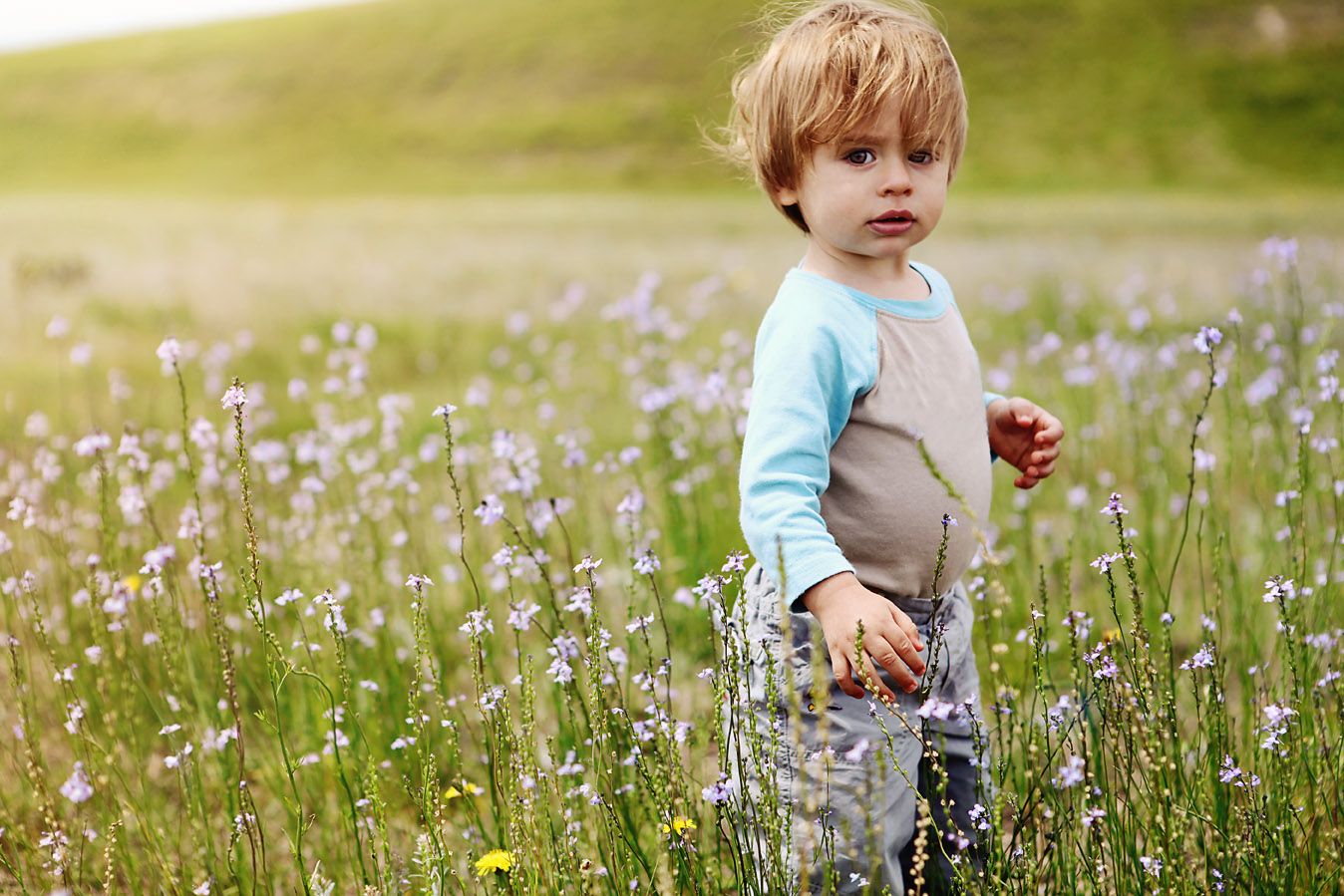 Toddler in the grass by Wright Brother Memorial