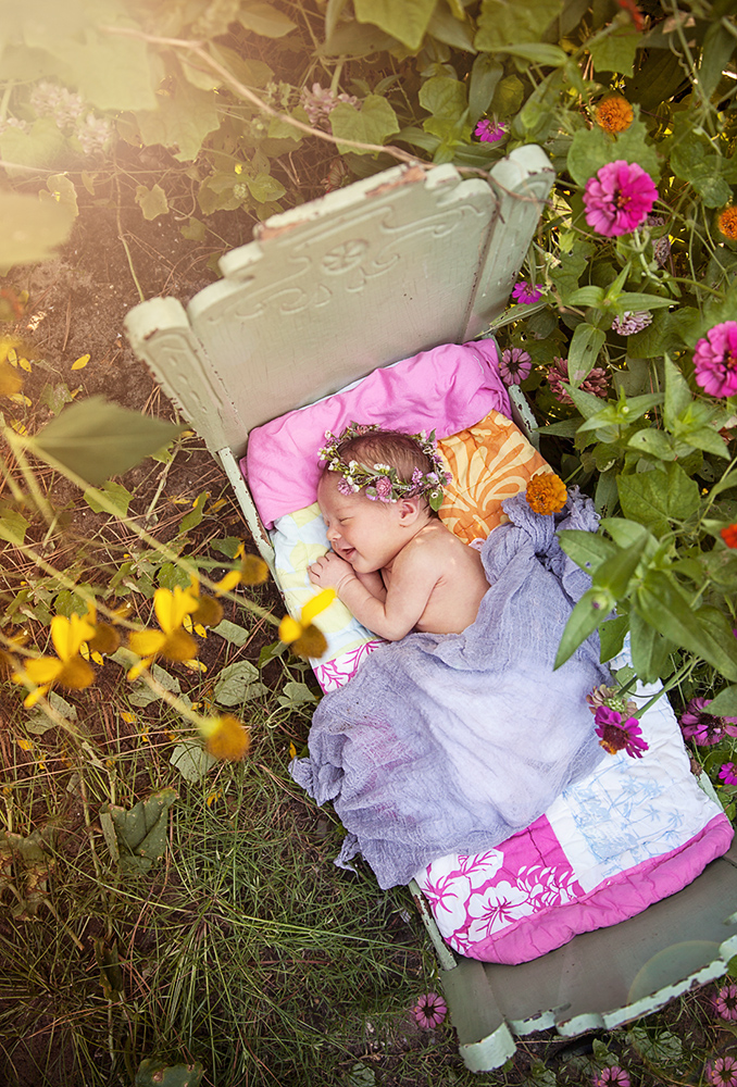 newborn photography in garden bed in Kill Devil Hills